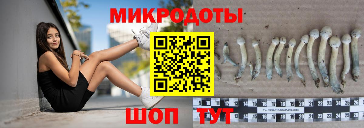 сколько стоит  Вход с VPN  Славянск-на-Кубани  Галлюциногенные грибы GOLDEN TEACHER 